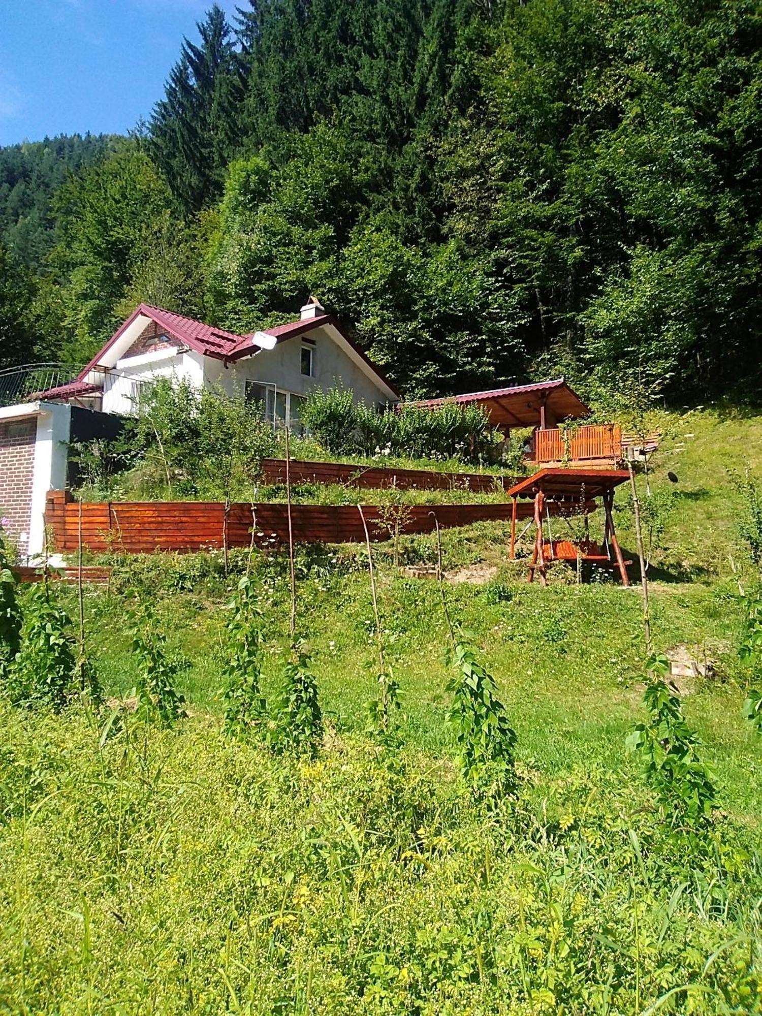 Casa Ozon Hotell Vulcan  Eksteriør bilde